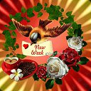 ���� �, ���� - ��������� 23 ���� 2018 � ������ ���� ����������