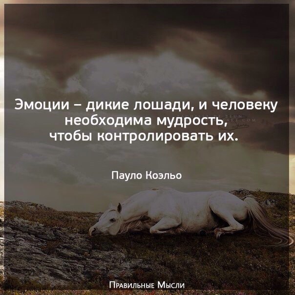     - 10  2018  16:20