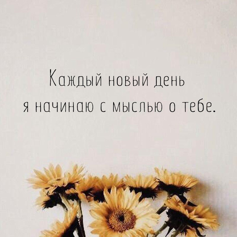   - 28  2018  16:42