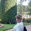 ���� ������, �����-���������, 54 ���� - ��������� 4 ������� 2018 � ������ ���� ����������