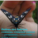 ���� ��������, ������, 56 ��� - ��������� 15 ������� 2018