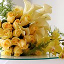 ���� ������, ���������� ����� - ��������� 8 ����� 2019 � ������ ������ ��������