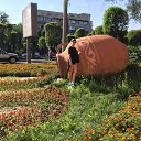 ���� ���������, �������, 40 ��� - ��������� 22 ������� 2018 � ������ ���� ����������