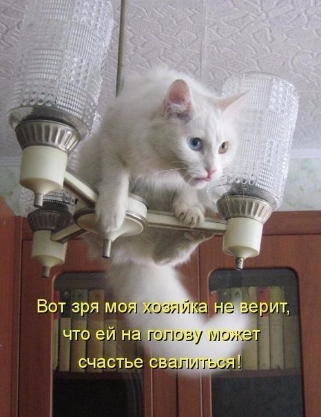    - 5  2019  16:45