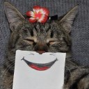 ���� �������, ���������� - ��������� 20 ������� 2018 � ������ ������ ��������