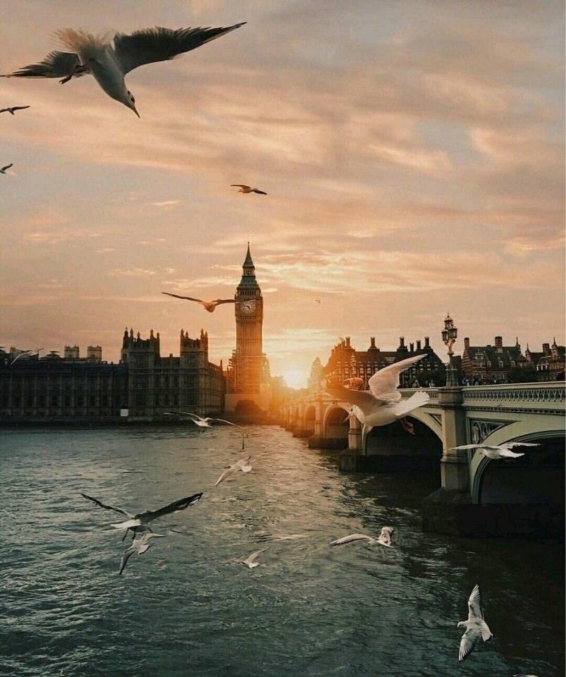 London, The United Kingdom