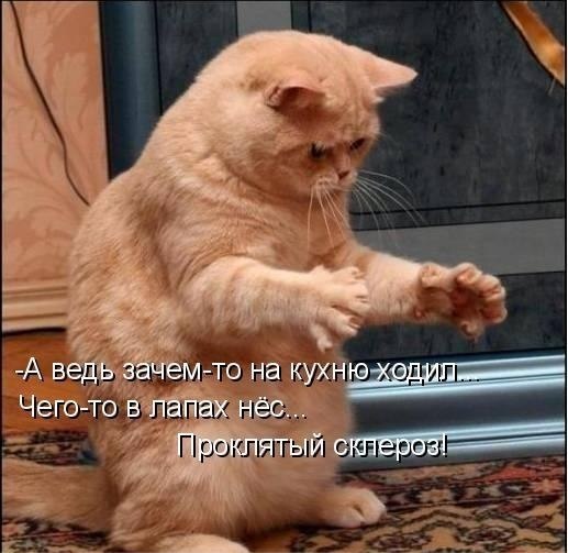    - 18  2018  02:52