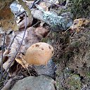 ���� �������, ������������ - ��������� 28 ������ 2018 � ������ �������