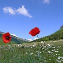 ���� �������, ������, 65 ��� - ��������� 26 ������� 2018 � ������ ���� ����������