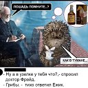 ���� Ҹ���� ����, ������, 50 ��� - ��������� 12 ����� 2019 � ������ ������ ��������