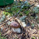 ���� �������, ������ ��������, 58 ��� - ��������� 26 �������� 2018 � ������ ���� ����������