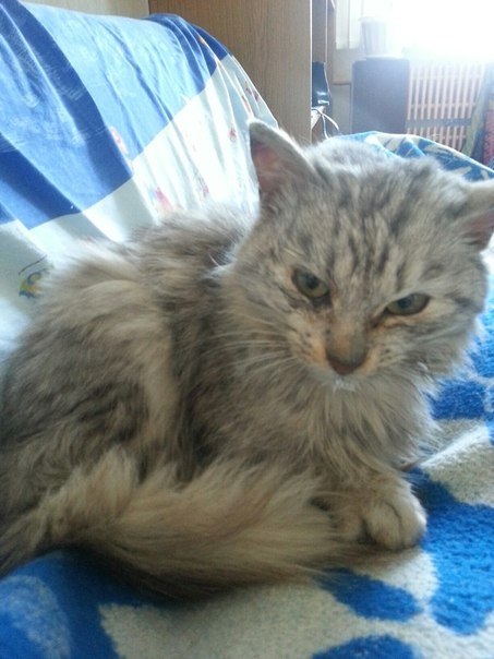 #_.     ,     .     ... - 2