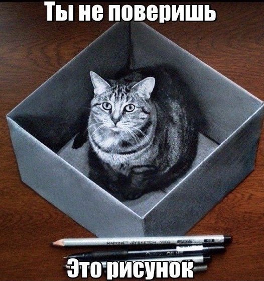    - 14  2018  02:54