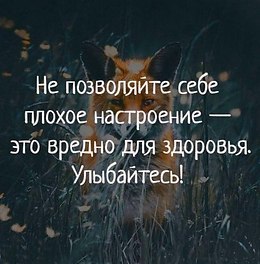 Svet - 13  2018  20:32