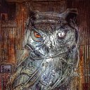 ���� ������, ����������, 56 ��� - ��������� 4 ����� 2019 � ������ ������ ��������