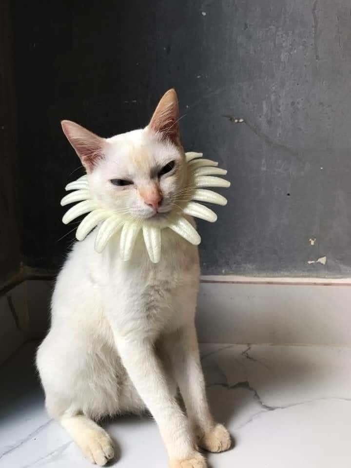     - 3