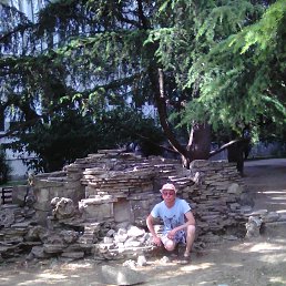 �����, 39 ���, ��������