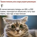 ���� Alekcandr, ������ - ��������� 10 ������ 2019 � ������ ������ ��������
