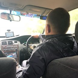 ����, �����-���������, 39 ���