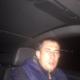 �����, ������, 41 ���