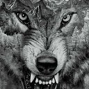 ���� �����, ����, 46 ��� - ��������� 2 ������� 2018