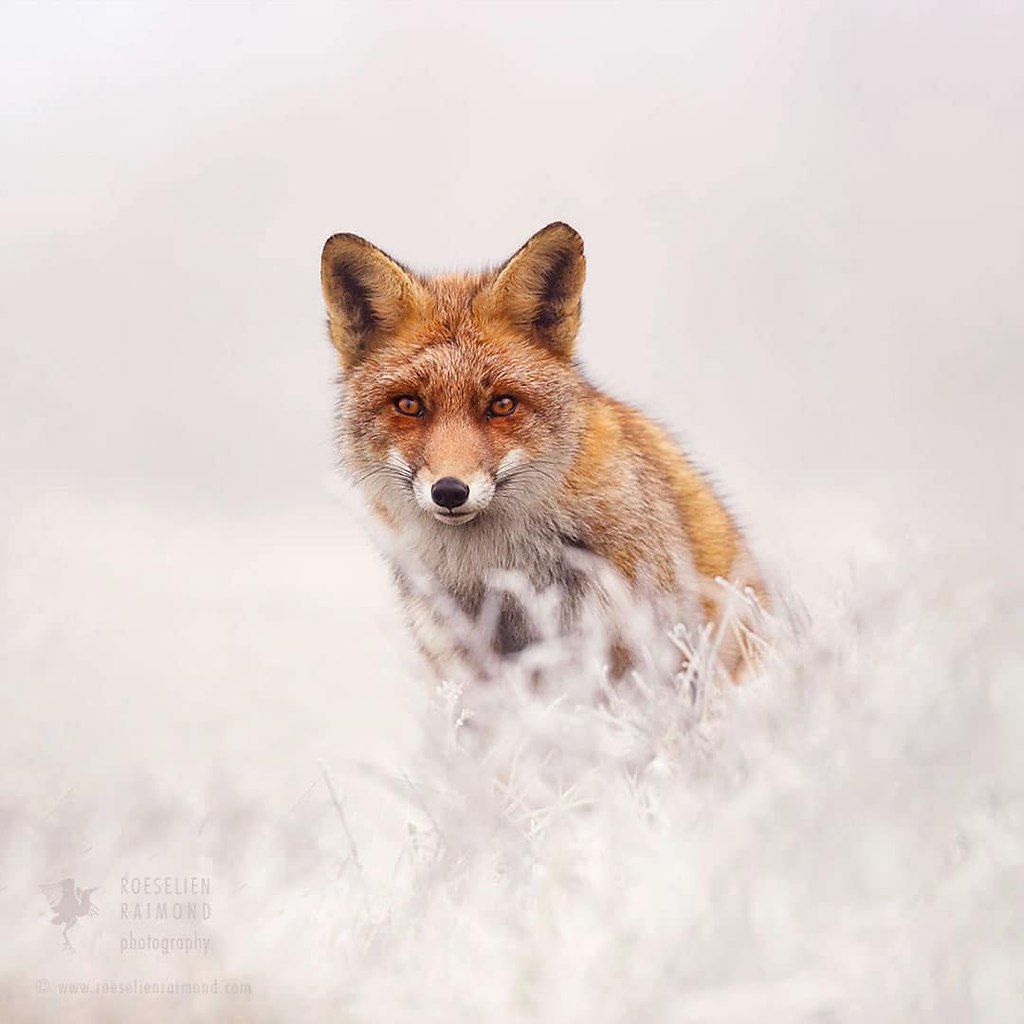 #@https://fotostrana.ru/away?to=/sl/NWB4 Emma Taggart - 3