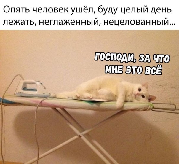 ~**~ - 27  2019  21:35