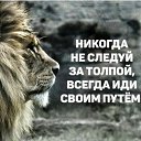 ���� ���, �����, 40 ��� - ��������� 27 ������� 2018 � ������ ���� ����������