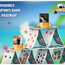 ���� ��������, ������, 61 ��� - ��������� 7 ������� 2018 � ������ �������� �������-�������