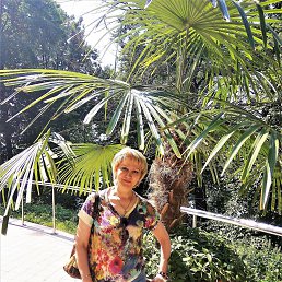 Ninely, ������, 60 ���