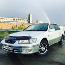 ���� ����, �������, 31 ��� - ��������� 3 ������ 2019 � ������ ���� ����������