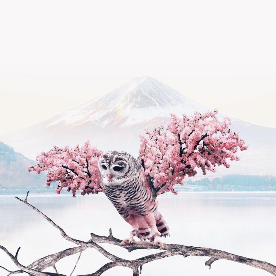      . : https://fotostrana.ru/away?to=/sl/wrP () #@ican - 5