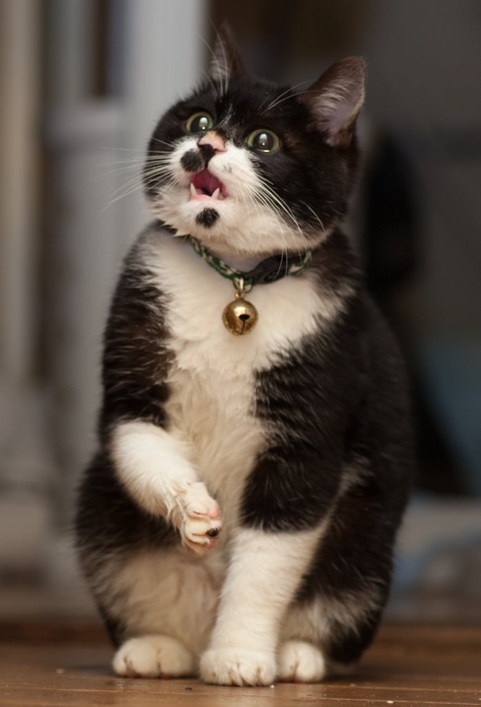   : - 3