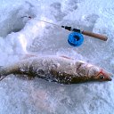 ���� ������ �������, ���������, 59 ��� - ��������� 10 ����� 2019 � ������ ������ ��������