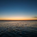 ���� ���, �������, 38 ��� - ��������� 19 ����� 2019 � ������ ������ ��������