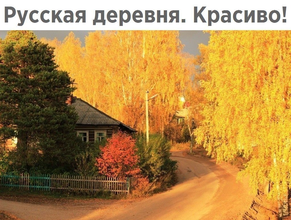  - 29  2018  16:50