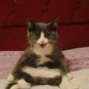 ���� ������, �������, 45 ��� - ��������� 26 ������� 2018 � ������ ���� ����������