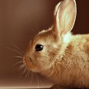 ���� Voldemar, �����-���������, 47 ��� - ��������� 30 ���� 2018 � ������ ���� ����������