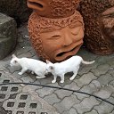  Tanya, , 65  -  17  2019    2019