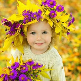 �������, ���������, 49 ���