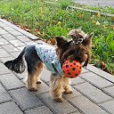 ���� �����, �������, 47 ��� - ��������� 15 �������� 2018 � ������ ��������ܻ