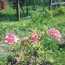 ���� ��������, ������ - ��������� 1 ������ 2018 � ������ ���� ����������