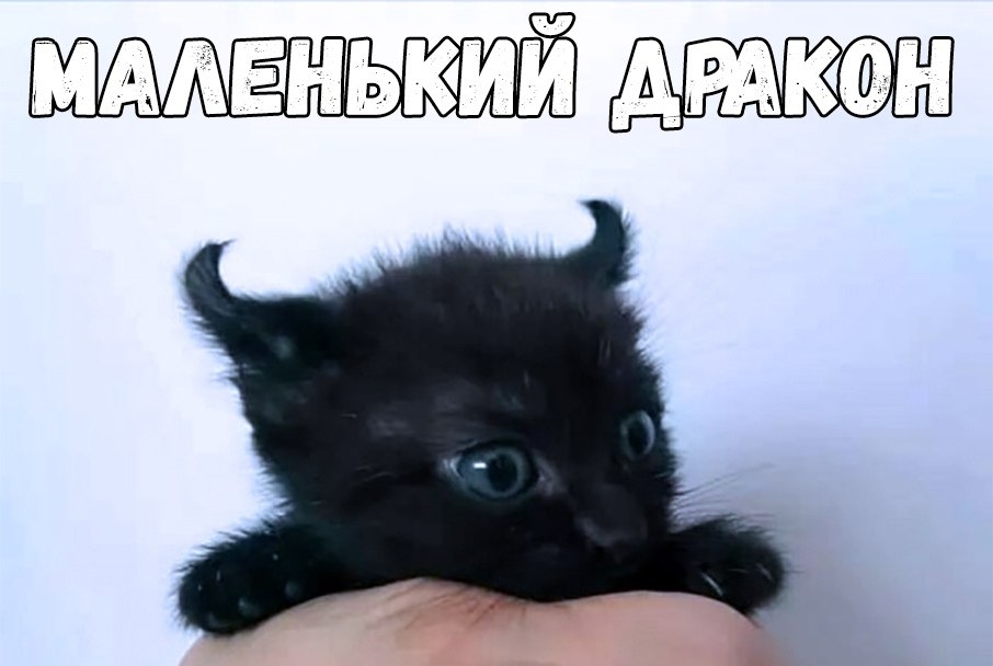    :D - 23  2018  16:43