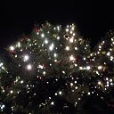 ���� ��a�����, �������, 39 ��� - ��������� 28 ������� 2018 � ������ ���� ����������