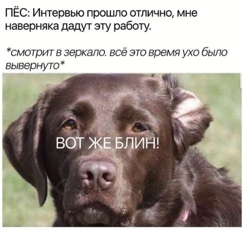  - 12  2019  03:20