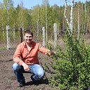 ���� �������, ���������, 53 ���� - ��������� 23 ������� 2019