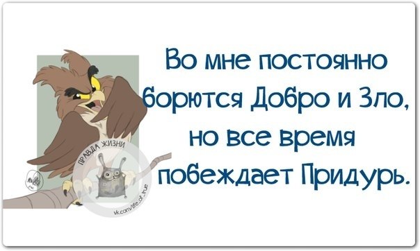   - 20  2018  16:49