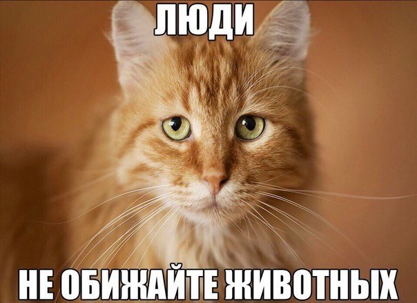    - 14  2018  16:40