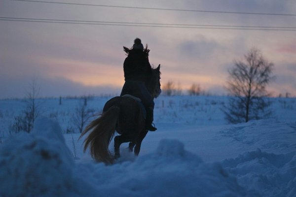 КСК