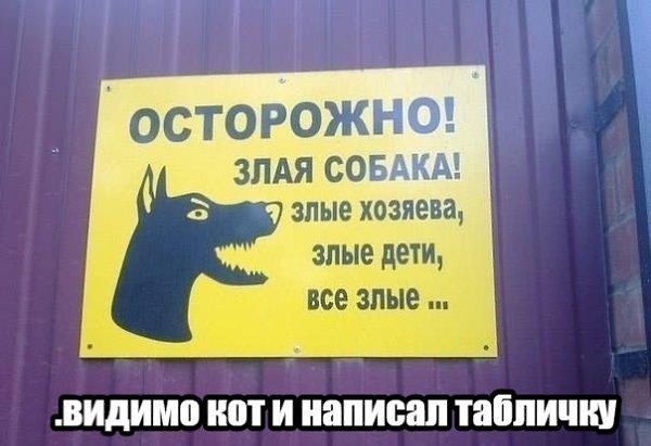    ר! - 19  2019  13:20